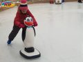 Серьезный «Пингвин»